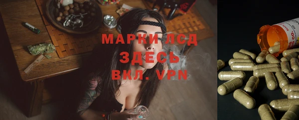 мяу мяу кристалл Няндома