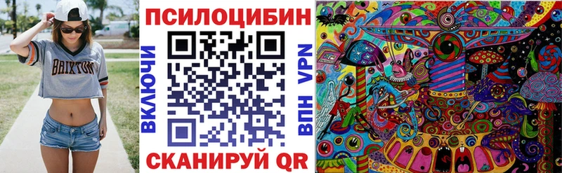 Псилоцибиновые грибы Cubensis Северская
